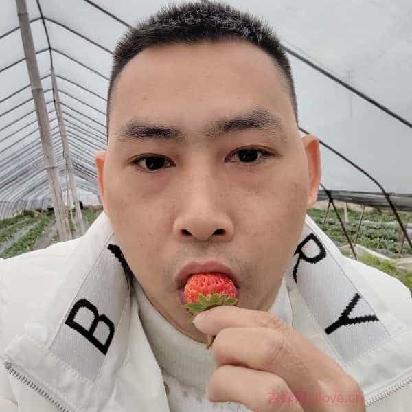 38岁岁贵州单身帅哥 - 金昌吉缘网